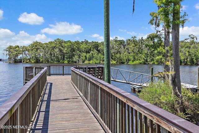 1161 Dover Dr, Fruit Cove, FL 32259 - photo 45
