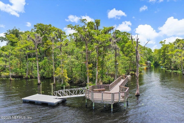 1161 Dover Dr, Fruit Cove, FL 32259 - photo 46