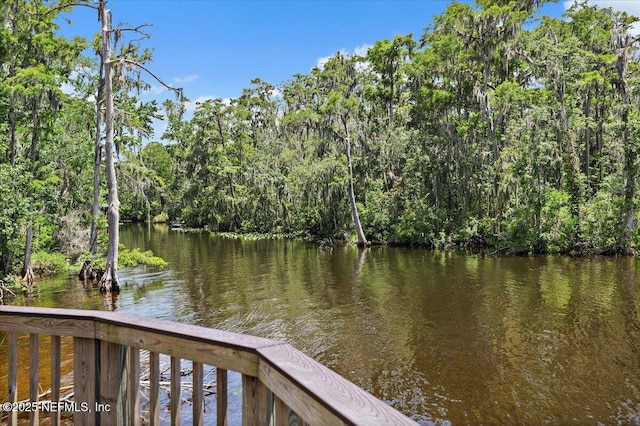1161 Dover Dr, Fruit Cove, FL 32259 - photo 47