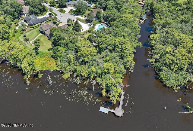 1161 Dover Dr, Fruit Cove, FL 32259 - photo 48