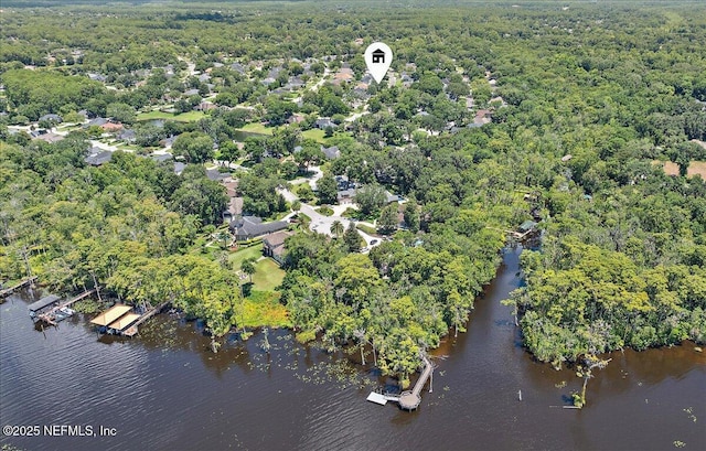 1161 Dover Dr, Fruit Cove, FL 32259 - photo 51