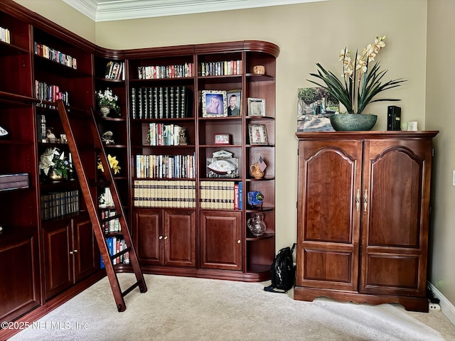 1970 Camellia Oaks Ln, Jacksonville, FL 32217 - photo 13