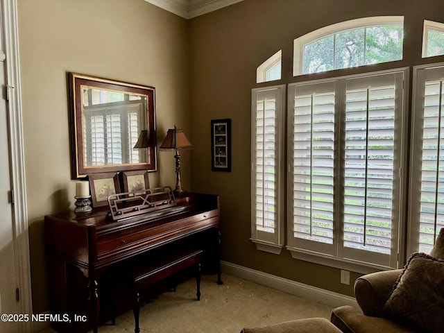 1970 Camellia Oaks Ln, Jacksonville, FL 32217 - photo 14