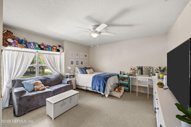 176 Summerhill Cir, Saint Augustine, FL 32086 - photo 24