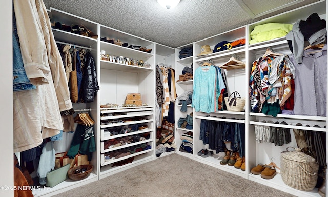 1361 Wekiva Way, Saint Augustine, FL 32092 - walk in closet featuring carpet floors