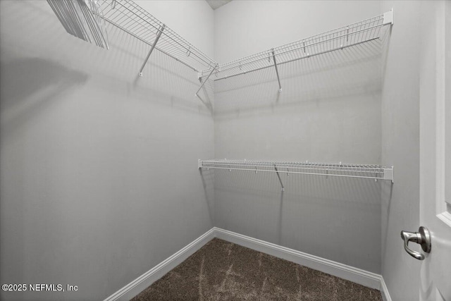 14407 Aldea Cove Dr, Jacksonville, FL 32224 - photo 27