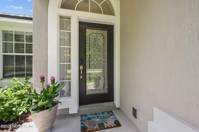 5838 Alderfer Springs Dr, Jacksonville, FL 32258 - photo 4