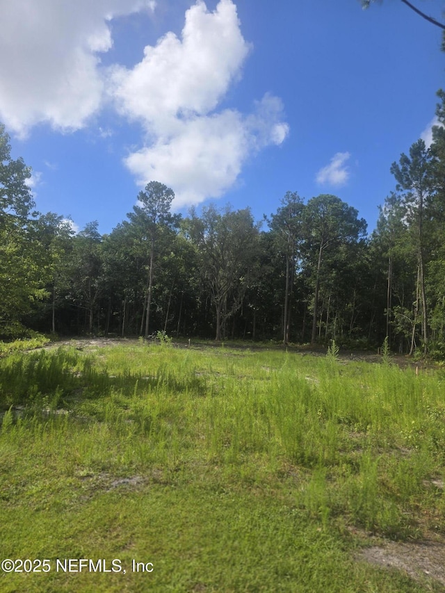 96624 Cayman Cir, Fernandina Beach, FL 32034 - photo 2
