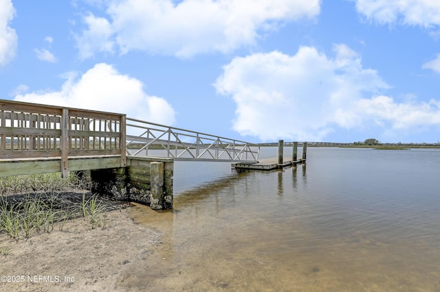 925 Gavagan Rd, Jacksonville, FL 32233 - photo 29