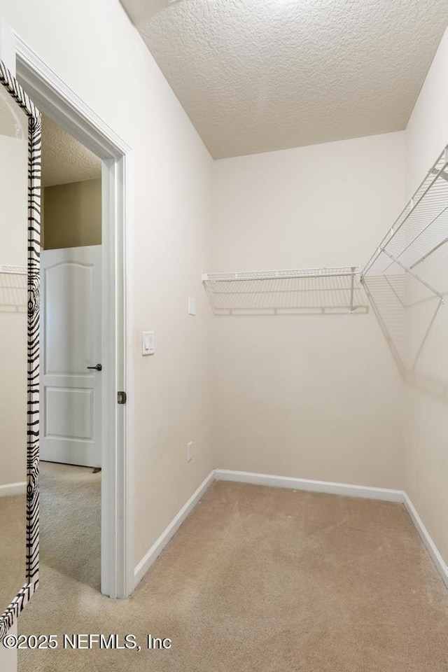 2339 Caney Oaks Dr, Jacksonville, FL 32218 - photo 26