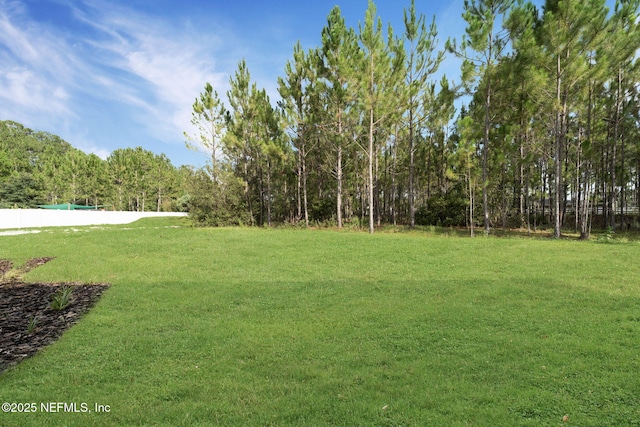 11125 Saddle Club Dr, Jacksonville, FL 32219 - photo 45