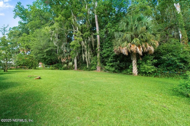 691 Grove Park Blvd, Jacksonville, FL 32216 - photo 50