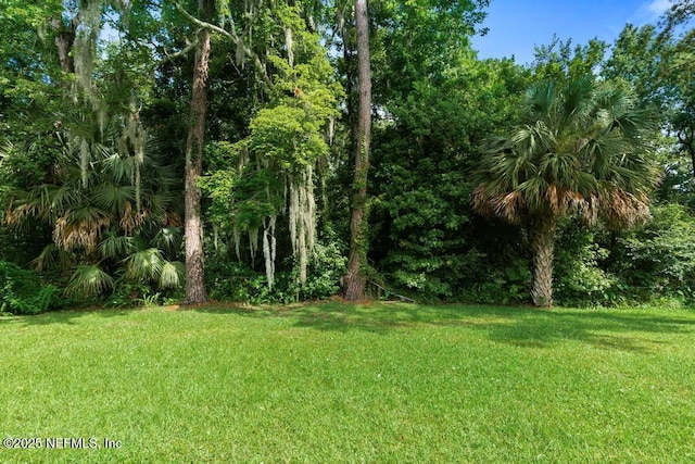 691 Grove Park Blvd, Jacksonville, FL 32216 - photo 51