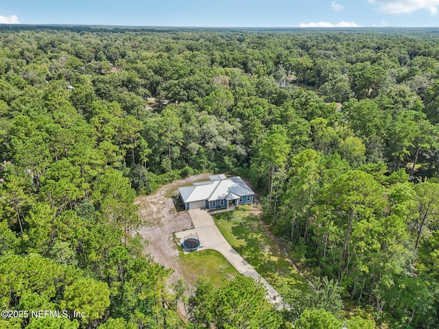 2803 Cranberry Cir, Middleburg, FL 32068 - photo 40