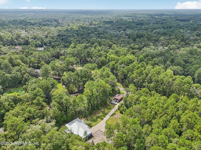 2803 Cranberry Cir, Middleburg, FL 32068 - photo 41