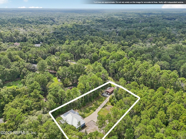 2803 Cranberry Cir, Middleburg, FL 32068 - photo 42