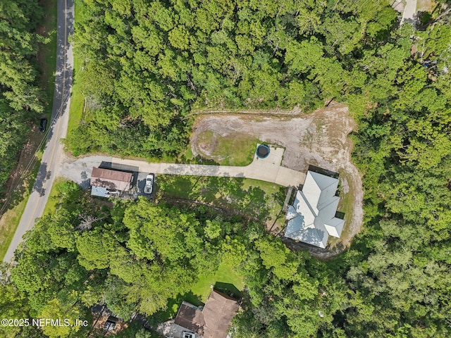 2803 Cranberry Cir, Middleburg, FL 32068 - photo 43