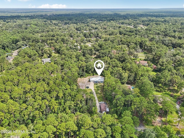 2803 Cranberry Cir, Middleburg, FL 32068 - photo 44