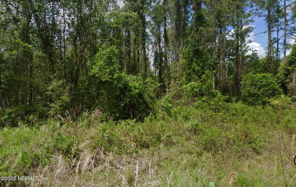 140 Edgemere Dr, Georgetown, FL 32139 - photo 2
