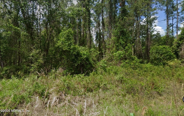 140 Edgemere Dr, Georgetown, FL 32139 - photo 2