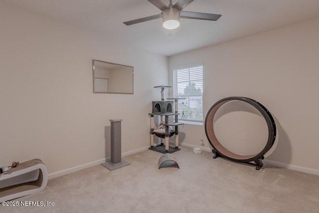 908 Observatory Pkwy, Jacksonville, FL 32218 - photo 23