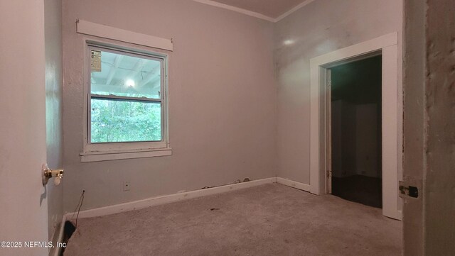 5502 Verbena Rd, Jacksonville, FL 32209 - photo 5