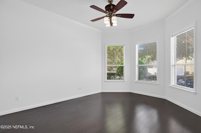 12243 Kinelaven Rd, Jacksonville, FL 32258 - photo 6