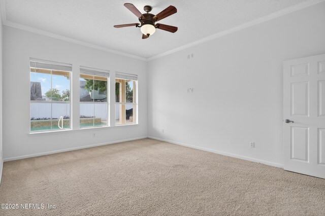12243 Kinelaven Rd, Jacksonville, FL 32258 - photo 17