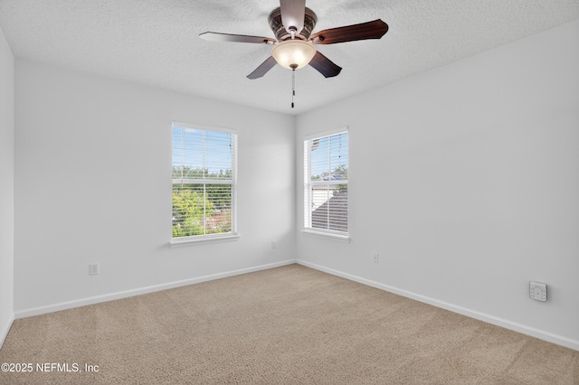 12243 Kinelaven Rd, Jacksonville, FL 32258 - photo 27