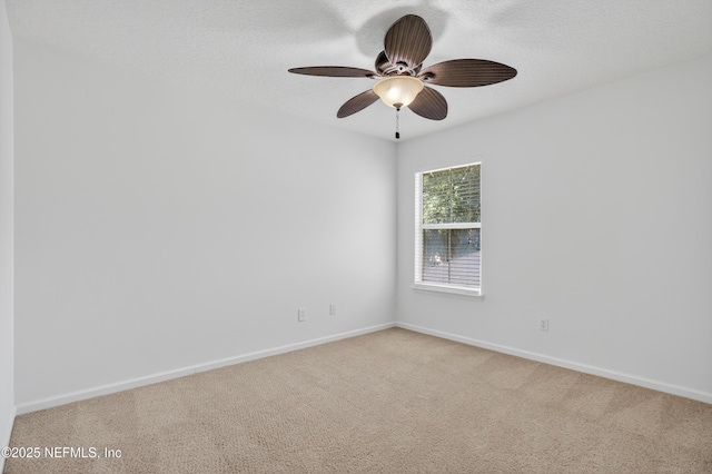 12243 Kinelaven Rd, Jacksonville, FL 32258 - photo 29