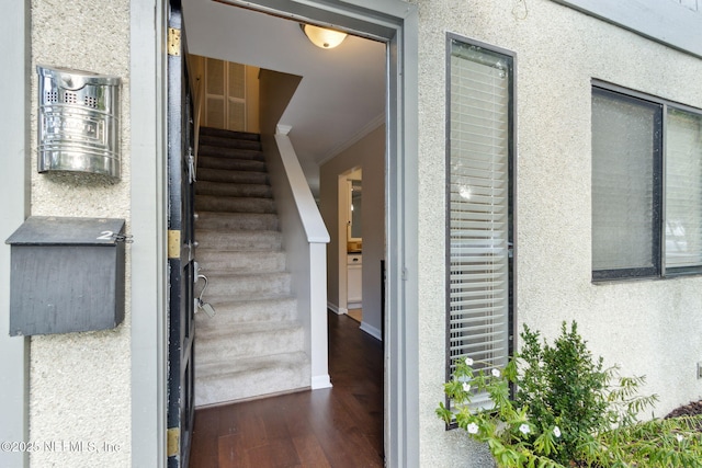 3216 Oak St Unit 2, Jacksonville, FL 32205 - photo 2