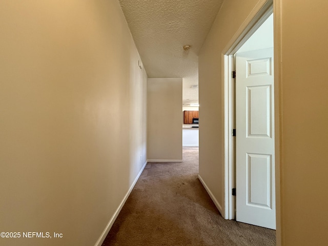 510 Hopewell Dr, Orange Park, FL 32073 - photo 5