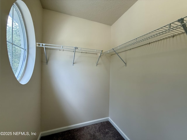510 Hopewell Dr, Orange Park, FL 32073 - photo 19