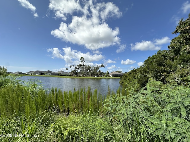 641 Pantano Dr, Saint Augustine, FL 32095 - photo 7