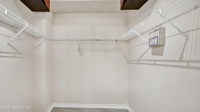 10101 Tantara Ct, Riverview, FL 33578 - photo 48