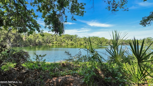 10101 Tantara Ct, Riverview, FL 33578 - photo 55