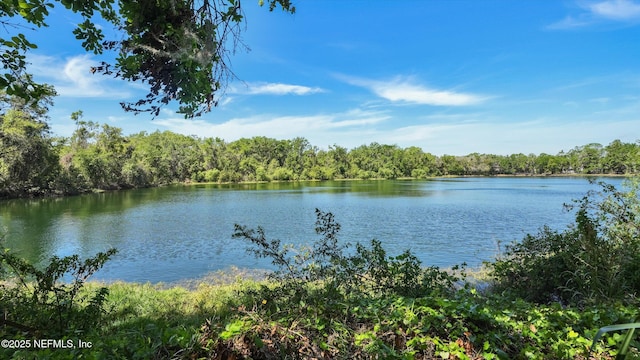 10101 Tantara Ct, Riverview, FL 33578 - photo 56