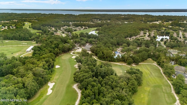 2411 Golden Bell Ln, Fleming Island, FL 32003 - photo 83