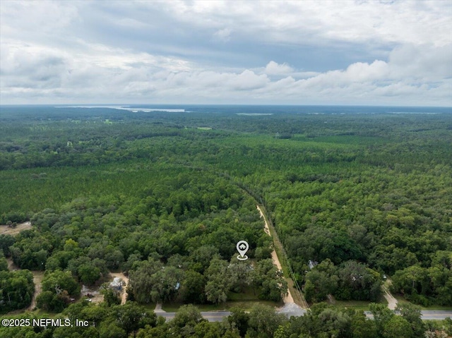 936 County Road 21, Hawthorne, FL 32640 - photo 30