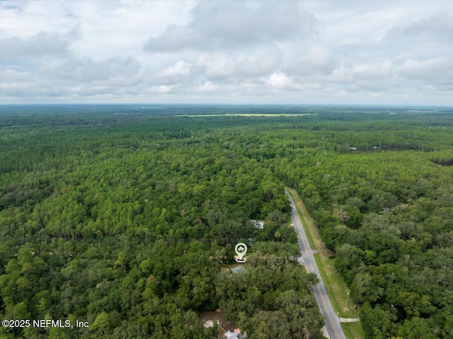 936 County Road 21, Hawthorne, FL 32640 - photo 31