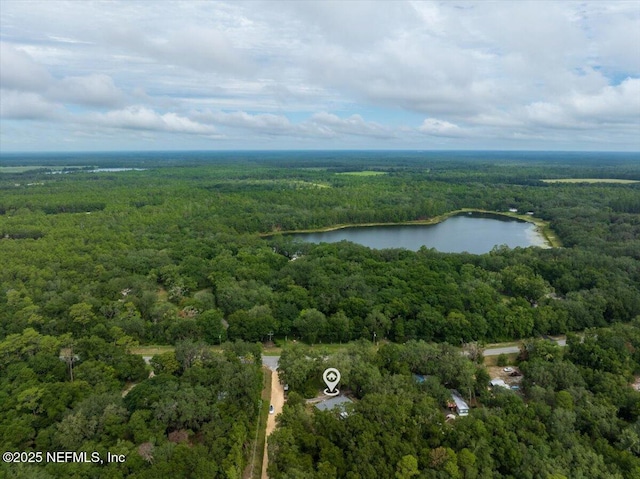 936 County Road 21, Hawthorne, FL 32640 - photo 32