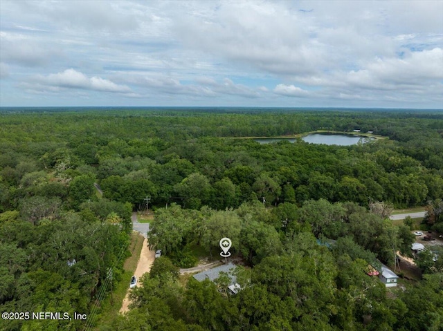 936 County Road 21, Hawthorne, FL 32640 - photo 33