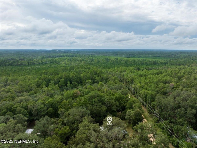 936 County Road 21, Hawthorne, FL 32640 - photo 35