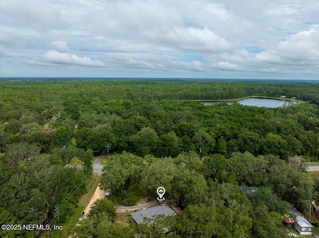 936 County Road 21, Hawthorne, FL 32640 - photo 37