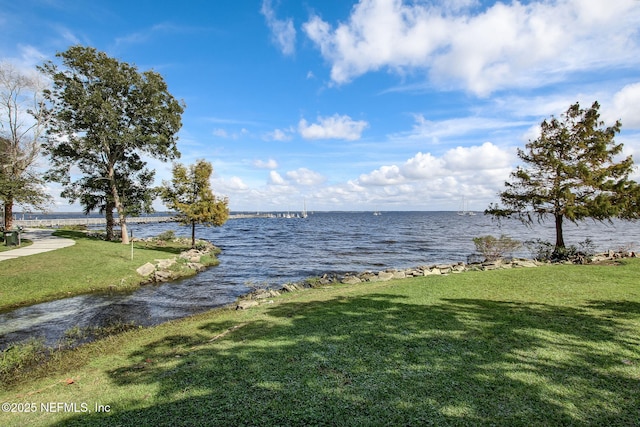 203 Highland Ave S, Green Cove Springs, FL 32043 - photo 39