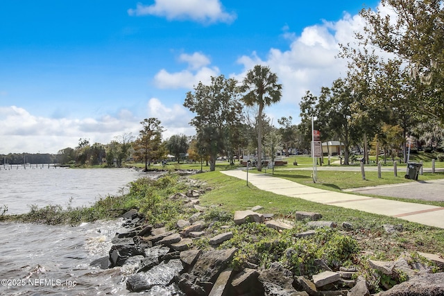 203 Highland Ave S, Green Cove Springs, FL 32043 - photo 42