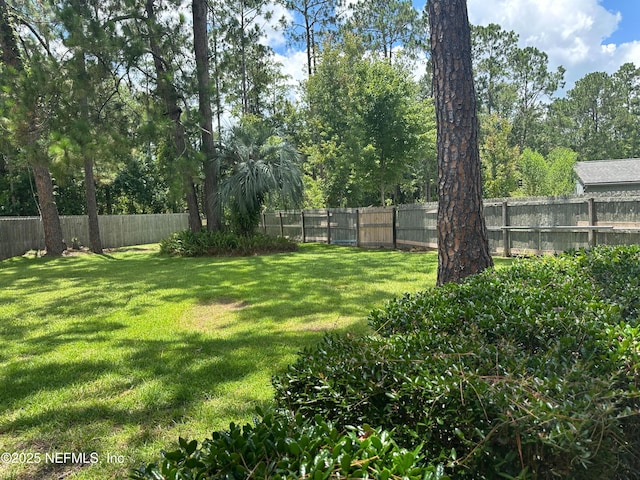 3336 Mclish Ct, Middleburg, FL 32068 - photo 26