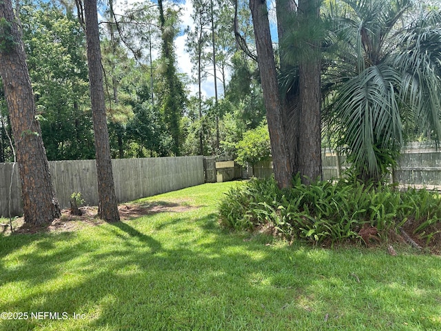 3336 Mclish Ct, Middleburg, FL 32068 - photo 27