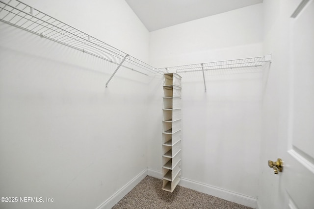 125 Legendary Dr Unit 302, Saint Augustine, FL 32092 - photo 14