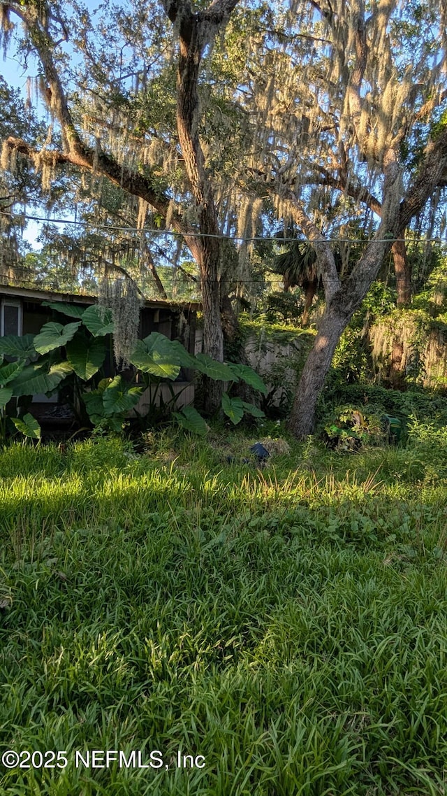 94080 Palm Cir W, Fernandina Beach, FL 32034 - photo 2